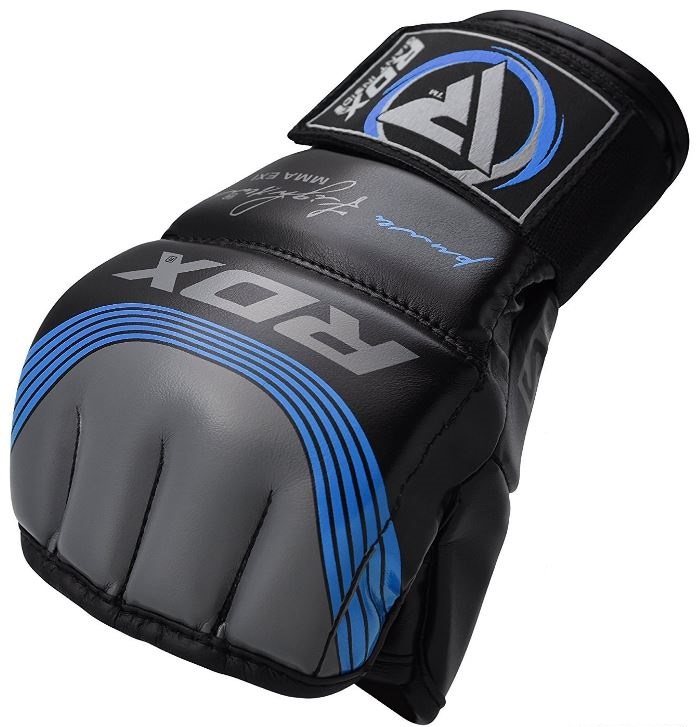 RDX Nemesis MMA gloves review