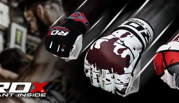 Best MMA Gloves For Combat Training